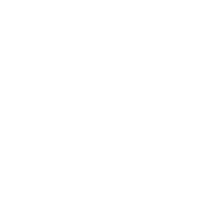 German brand award